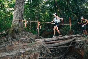 BIB: 
                            <button type="button" onclick="openModal(27755638)" class="btn btn-primary btn-sm float-right btn-popup" data-toggle="modal" data-target=".modal-high-quality">
                        <i class="fas fa-shopping-cart"></i> Add to Cart
                    </button>
                                            <button type="button" onclick="isThisMe(27755638, true)" class="btn btn-success btn-sm float-right btn-popup btn-isme hidden" data-toggle="tooltip" data-placement="bottom" title="นี่คือรูปของคุณใช่ไหม คลิกที่นี่เพื่อเอาเข้าอัลบั้ม">
                        <i class="fas fa-plus"></i> Add to album
                    </button>
                    <button type="button" onclick="isThisMe(27755638, false)" class="btn btn-warning btn-sm float-right btn-popup btn-isnotme hidden">
                        <i class="fas fa-ban"></i> Remove from album
                    </button>